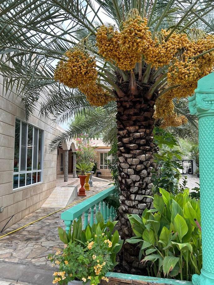 Valley Cliff Inn نزوى‎ المظهر الخارجي الصورة