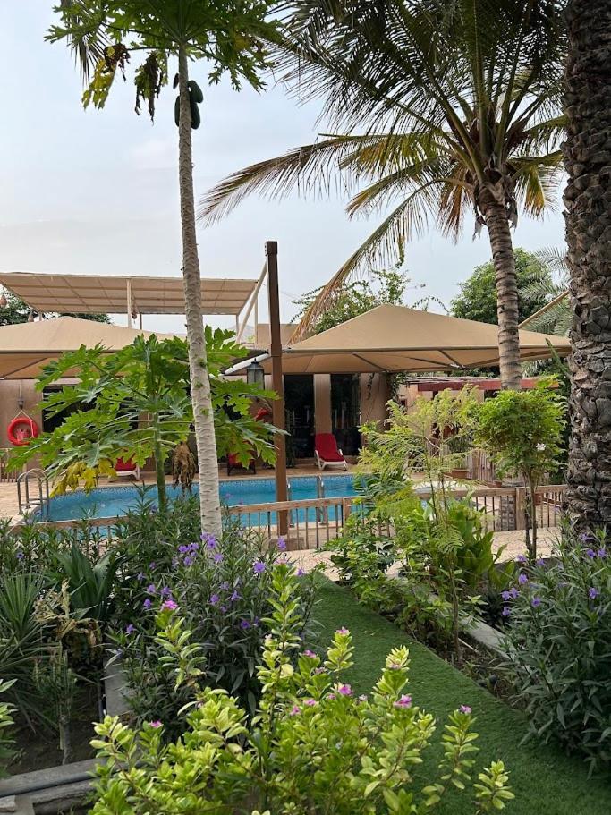 Valley Cliff Inn نزوى‎ المظهر الخارجي الصورة